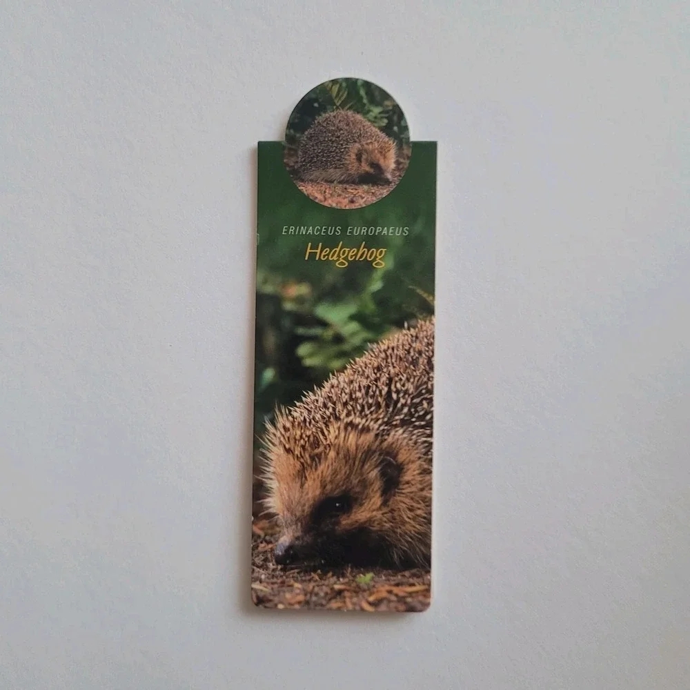 Cardmarks Hedgehog Nature Animal Info Magnetic Magnet UK Company If 2408 Y2k 00s